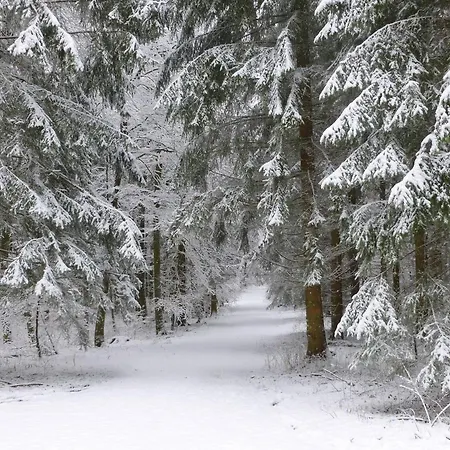 Appartement Ferienwohnung Gross