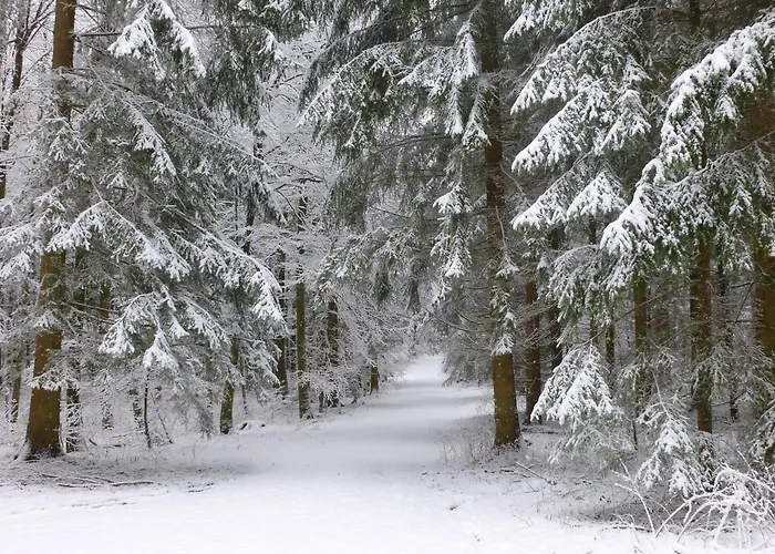 Appartement Ferienwohnung Gross